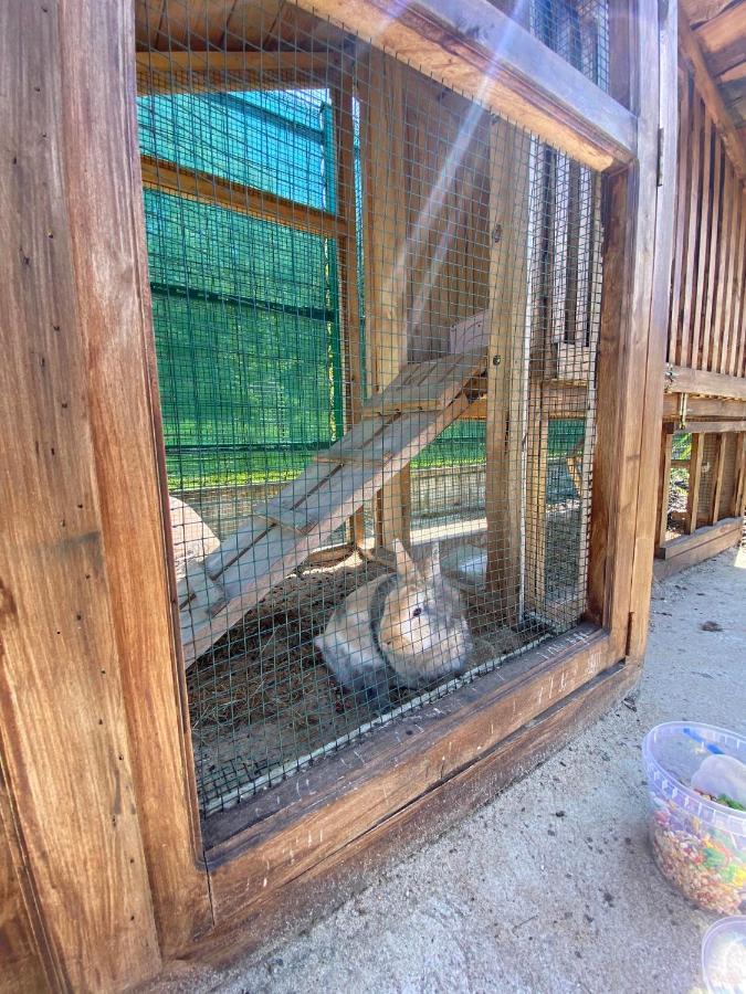 Villa Wypoczynek Letnia Oaza Sobienie Jeziory Exterior foto